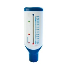- DEBITMETRE PEAK FLOW - L36147